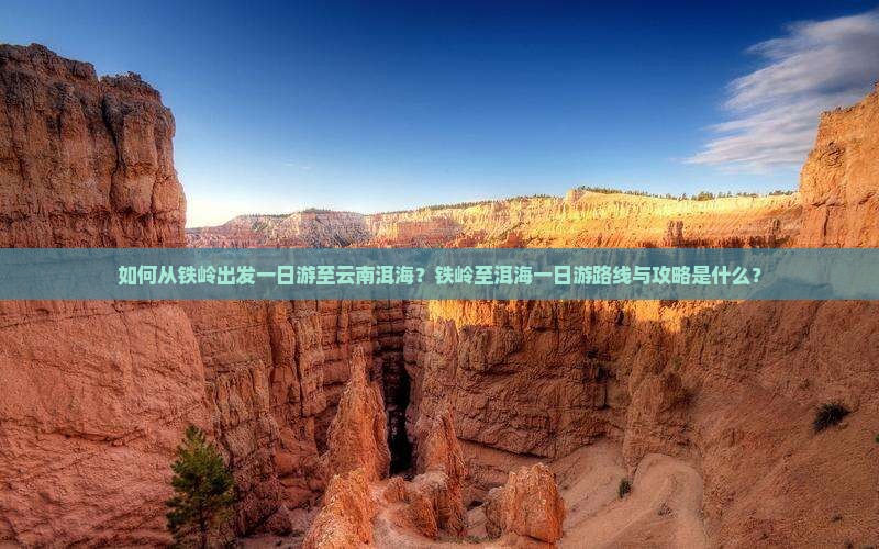 如何从铁岭出发一日游至云南洱海？铁岭至洱海一日游路线与攻略是什么？