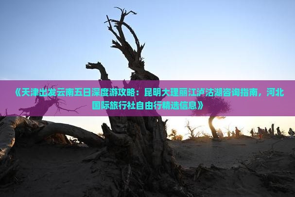 《天津出发云南五日深度游攻略：昆明大理丽江泸沽湖咨询指南，河北国际旅行社自由行精选信息》