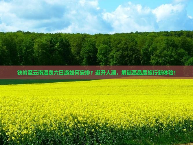 铁岭至云南温泉六日游如何安排？避开人潮，解锁高品质旅行新体验！