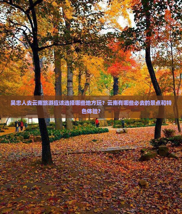 吴忠人去云南旅游应该选择哪些地方玩？云南有哪些必去的景点和特色体验？
