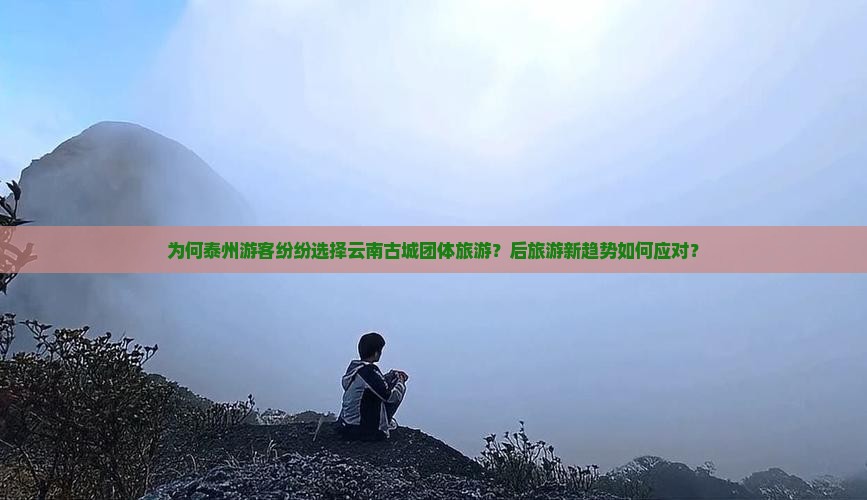 为何泰州游客纷纷选择云南古城团体旅游？后旅游新趋势如何应对？