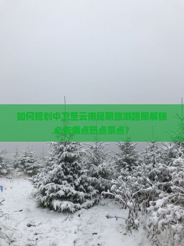 如何规划中卫至云南昆明旅游路犀解锁必去痛点热点景点？