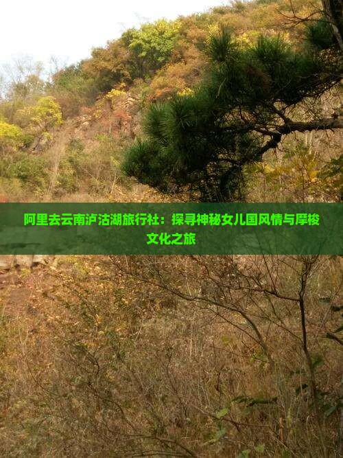阿里去云南泸沽湖旅行社：探寻神秘女儿国风情与摩梭文化之旅