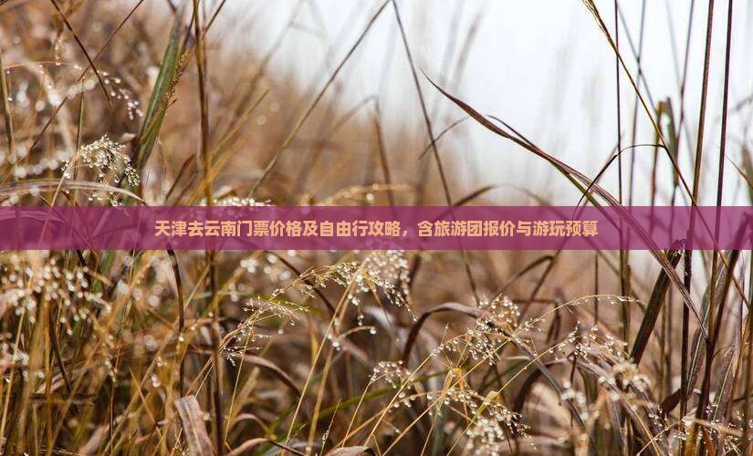 天津去云南门票价格及自由行攻略，含旅游团报价与游玩预算