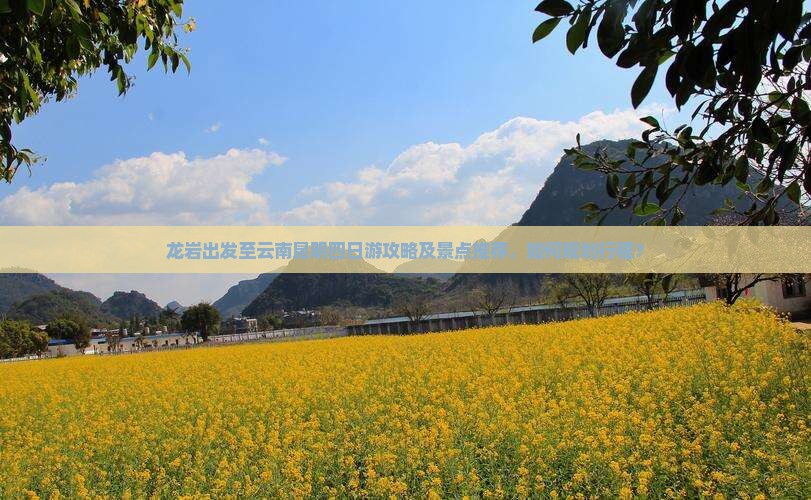 龙岩出发至云南昆明四日游攻略及景点推荐，如何规划行程？
