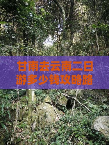 甘南去云南二日游多少钱攻略路线自驾游指南