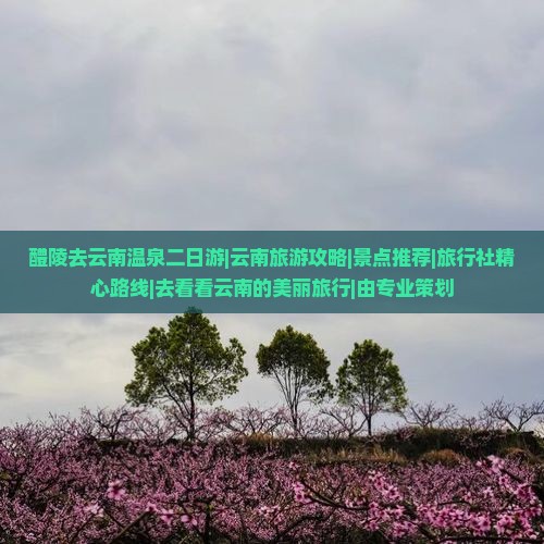 醴陵去云南温泉二日游|云南旅游攻略|景点推荐|旅行社精心路线|去看看云南的美丽旅行|由专业策划