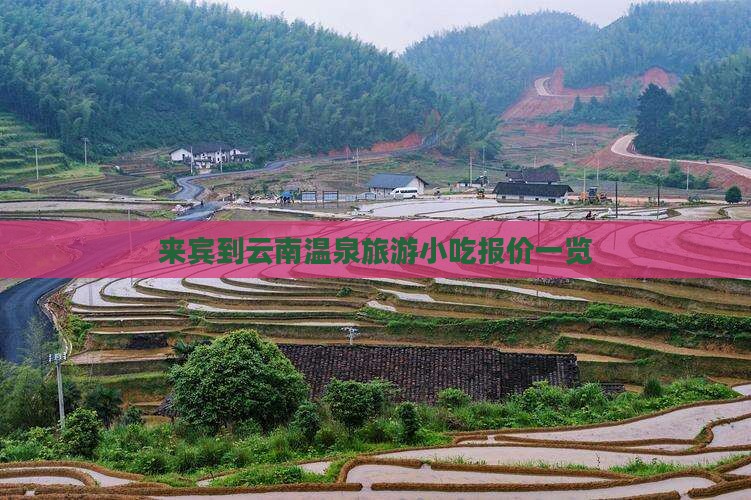来宾到云南温泉旅游小吃报价一览