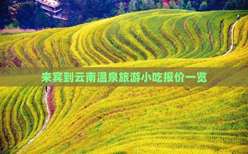 来宾到云南温泉旅游小吃报价一览