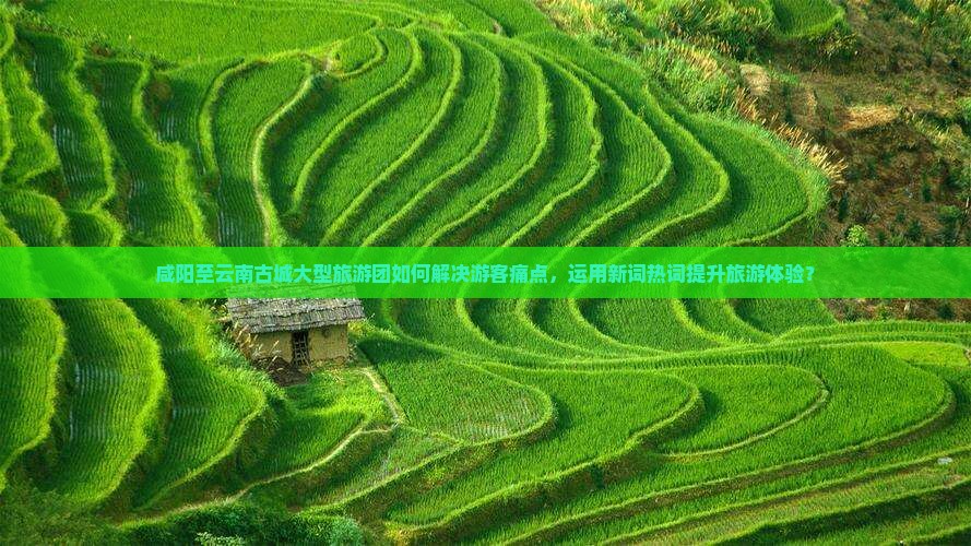 咸阳至云南古城大型旅游团如何解决游客痛点，运用新词热词提升旅游体验？