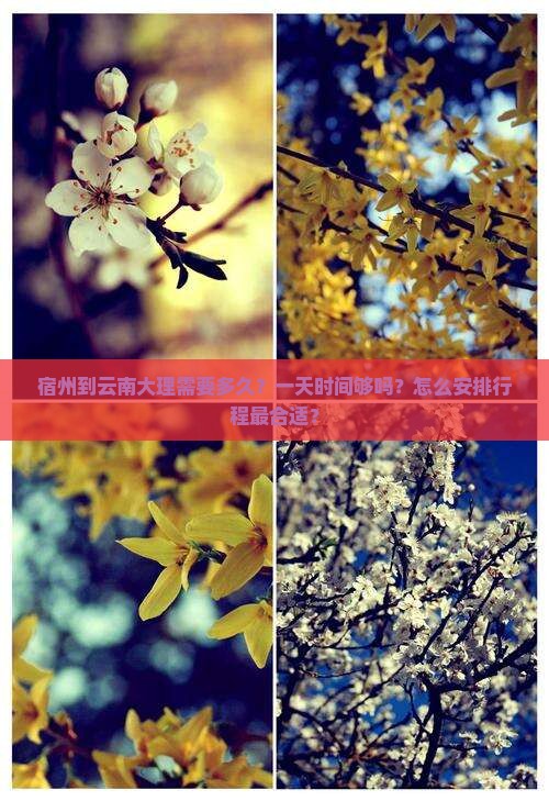 宿州到云南大理需要多久？一天时间够吗？怎么安排行程最合适？