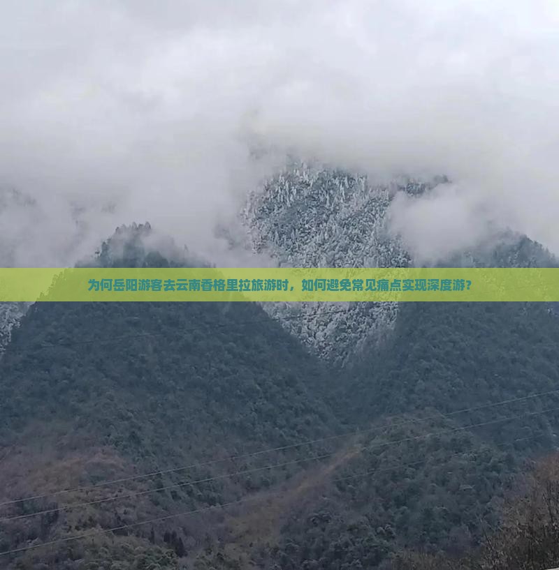 为何岳阳游客去云南香格里拉旅游时，如何避免常见痛点实现深度游？