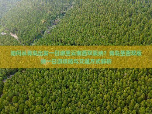 如何从青岛出发一日游至云南西双版纳？青岛至西双版纳一日游攻略与交通方式解析