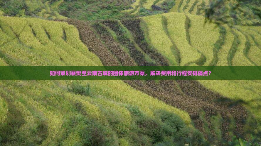 如何策划襄樊至云南古城的团体旅游方案，解决费用和行程安排痛点？