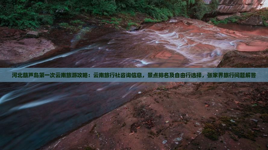 河北葫芦岛第一次云南旅游攻略：云南旅行社咨询信息，景点排名及自由行选择，张家界旅行问题解答