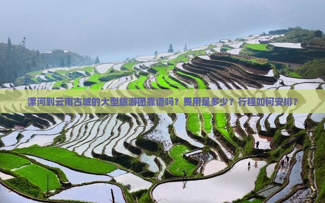 漯河到云南古城的大型旅游团靠谱吗？费用是多少？行程如何安排？