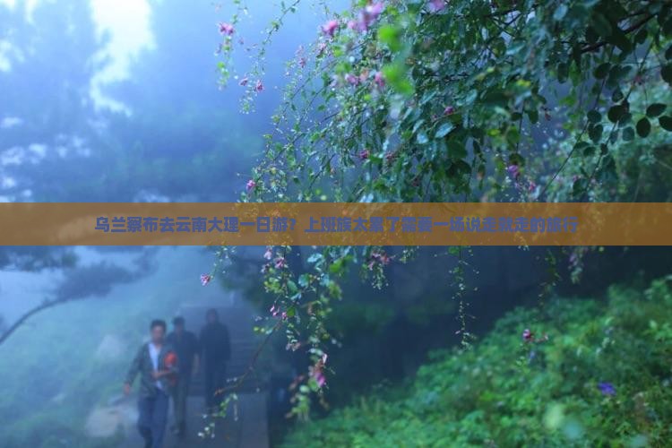 乌兰察布去云南大理一日游？上班族太累了需要一场说走就走的旅行