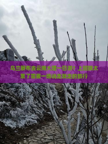 乌兰察布去云南大理一日游？上班族太累了需要一场说走就走的旅行