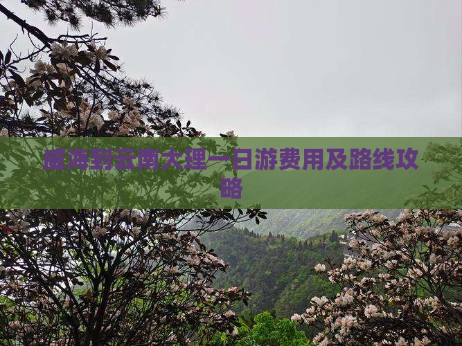威海到云南大理一日游费用及路线攻略