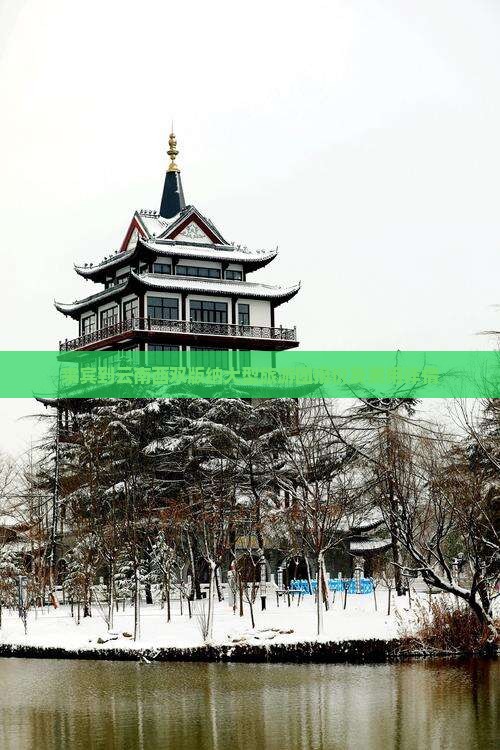 来宾到云南西双版纳大型旅游团报价及费用详情