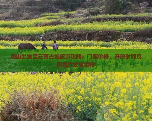 唐山出发至云南古城旅游攻略：门票价格、开放时间及购票方式全解析