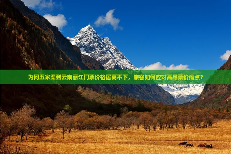为何五家渠到云南丽江门票价格居高不下，旅客如何应对高昂票价痛点？