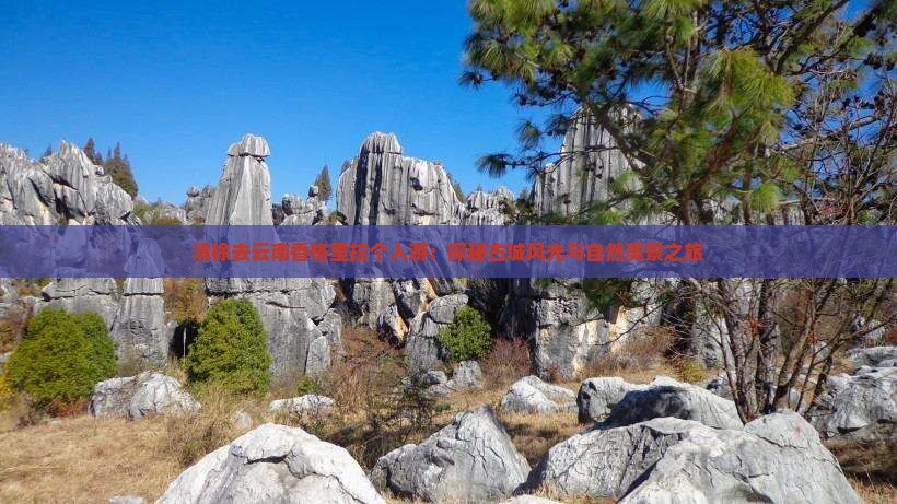 清徐去云南香格里拉个人游：探秘古城风光与自然美景之旅