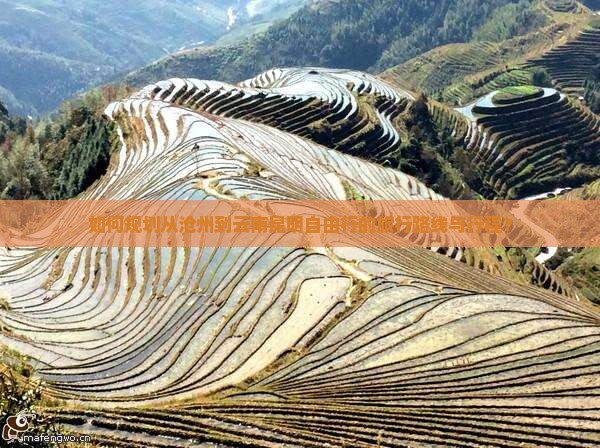 如何规划从沧州到云南昆明自由行的旅行路线与行程？