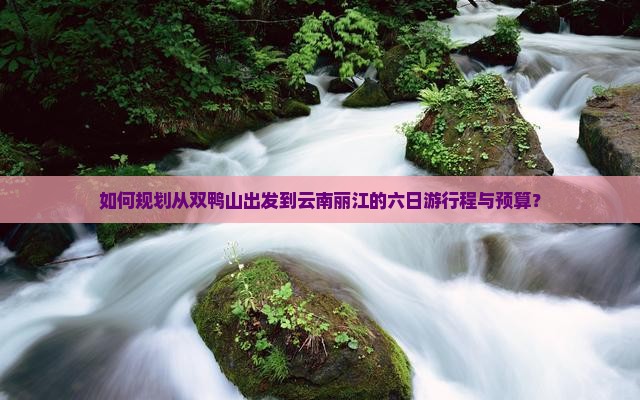 如何规划从双鸭山出发到云南丽江的六日游行程与预算？