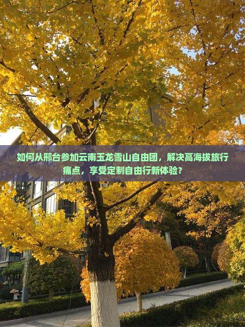 如何从邢台参加云南玉龙雪山自由团，解决高海拔旅行痛点，享受定制自由行新体验？