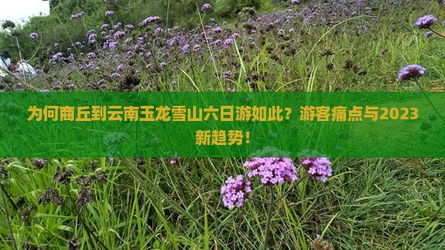为何商丘到云南玉龙雪山六日游如此？游客痛点与2023新趋势！