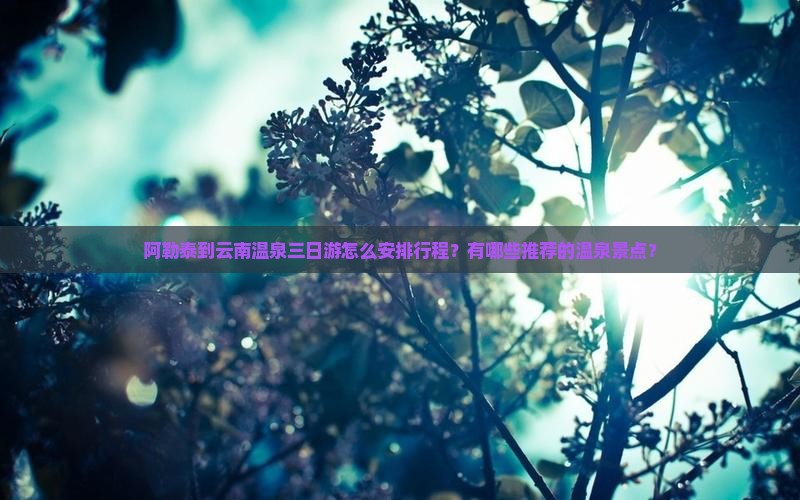 阿勒泰到云南温泉三日游怎么安排行程？有哪些推荐的温泉景点？