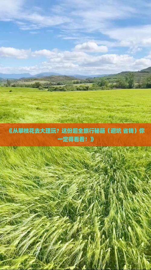 攀枝花到云南大理团体旅游