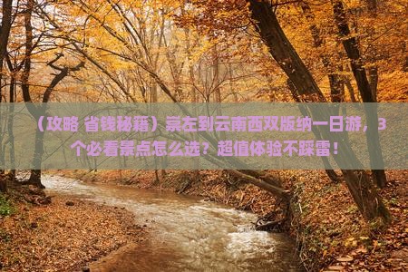 崇左到云南西双版纳一日