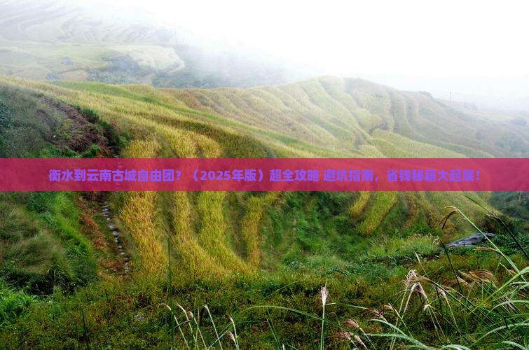 衡水到云南古城自由团