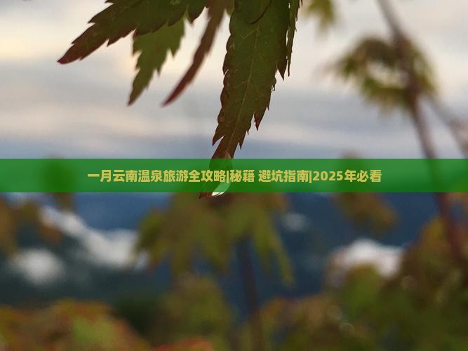 一月到云南温泉团体旅游 一月到云南温泉团体旅游