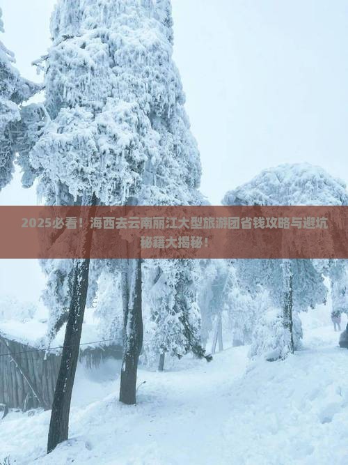 海西去云南丽江大型旅游团