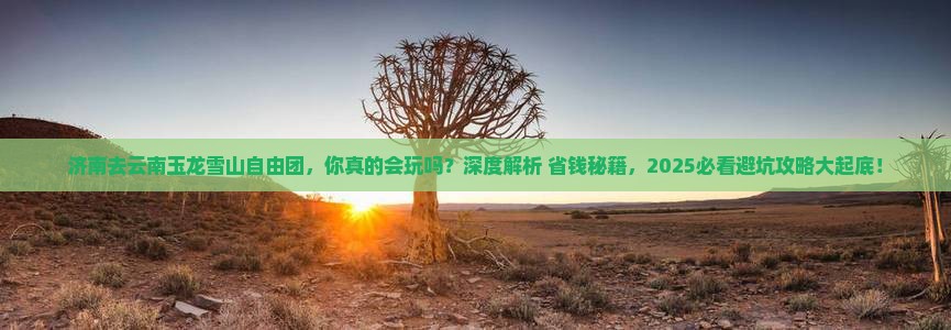 济南去云南玉龙雪山自由团