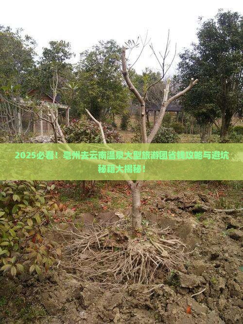 亳州去云南温泉大型旅游团