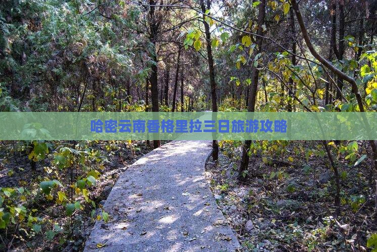 哈密去云南香格里拉三日游 哈密去云南香格里拉三日游