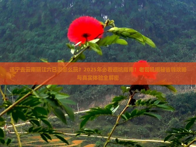 遂宁去云南丽江六日游