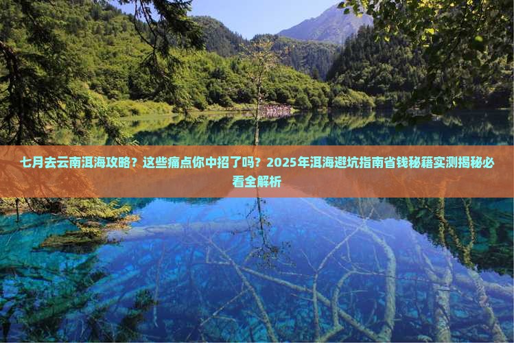 七月去云南洱海攻略
