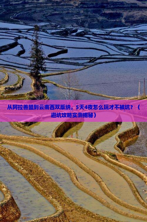 阿拉善盟去云南西双版纳大型旅游团
