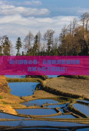 铜川去云南古城旅游小吃