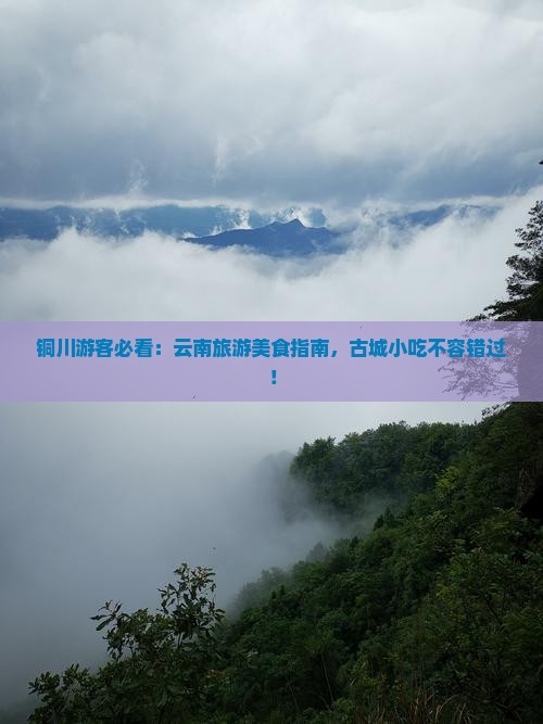 铜川去云南古城旅游小吃