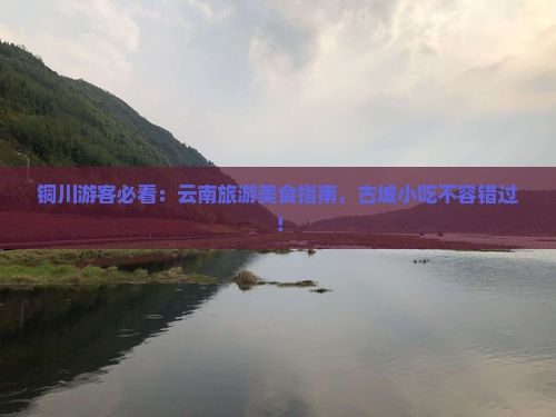 铜川去云南古城旅游小吃