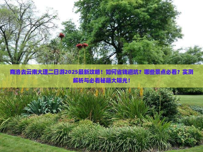 商洛去云南大理二日游