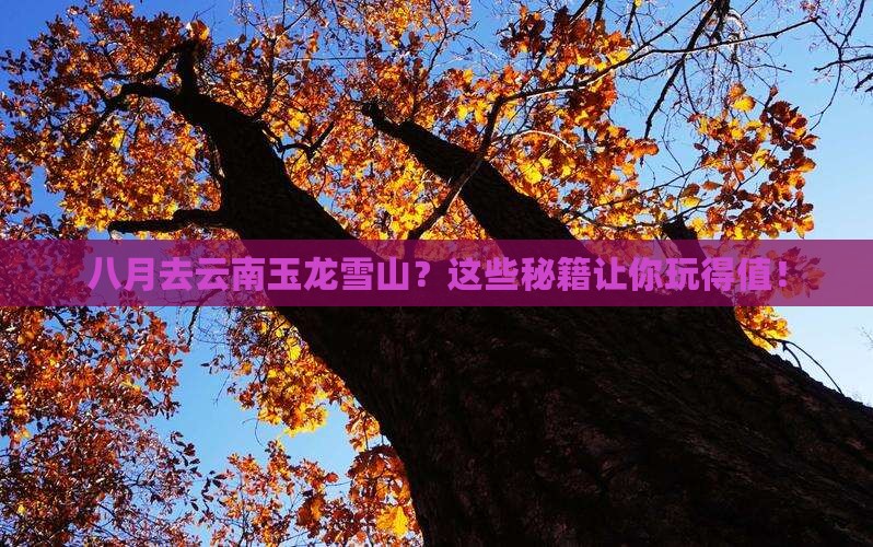 八月去云南玉龙雪山景点