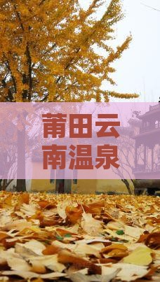 莆田到云南温泉四日游