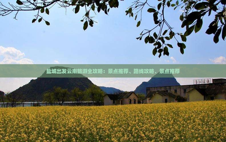 盐城去云南昆明哪里玩